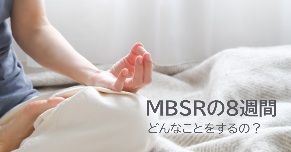 MBSRの8週間では何をする？プログラム内容を紹介