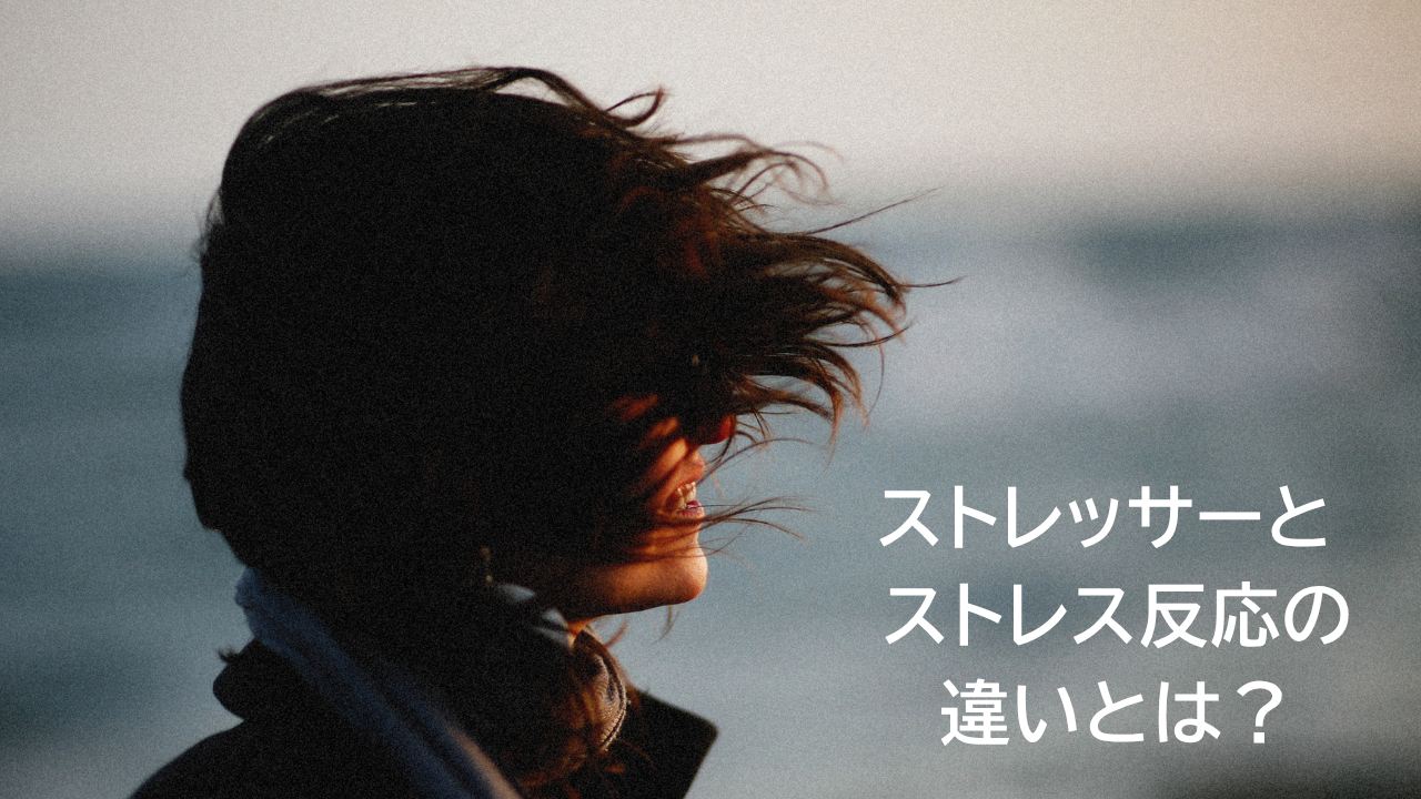 ストレッサーとストレス反応の違いとは？